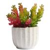 Decoración de planta suculenta de simulación, planta en maceta, adornos de planta verde, Loto de Jade, cadena de dinero, grano de fruta, plato combinado de flores de plástico