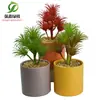 Simulación planta suculenta súper grande tamaño pequeño suculenta bonsái planta verde flor de plástico en maceta micro paisaje con pared vegetal