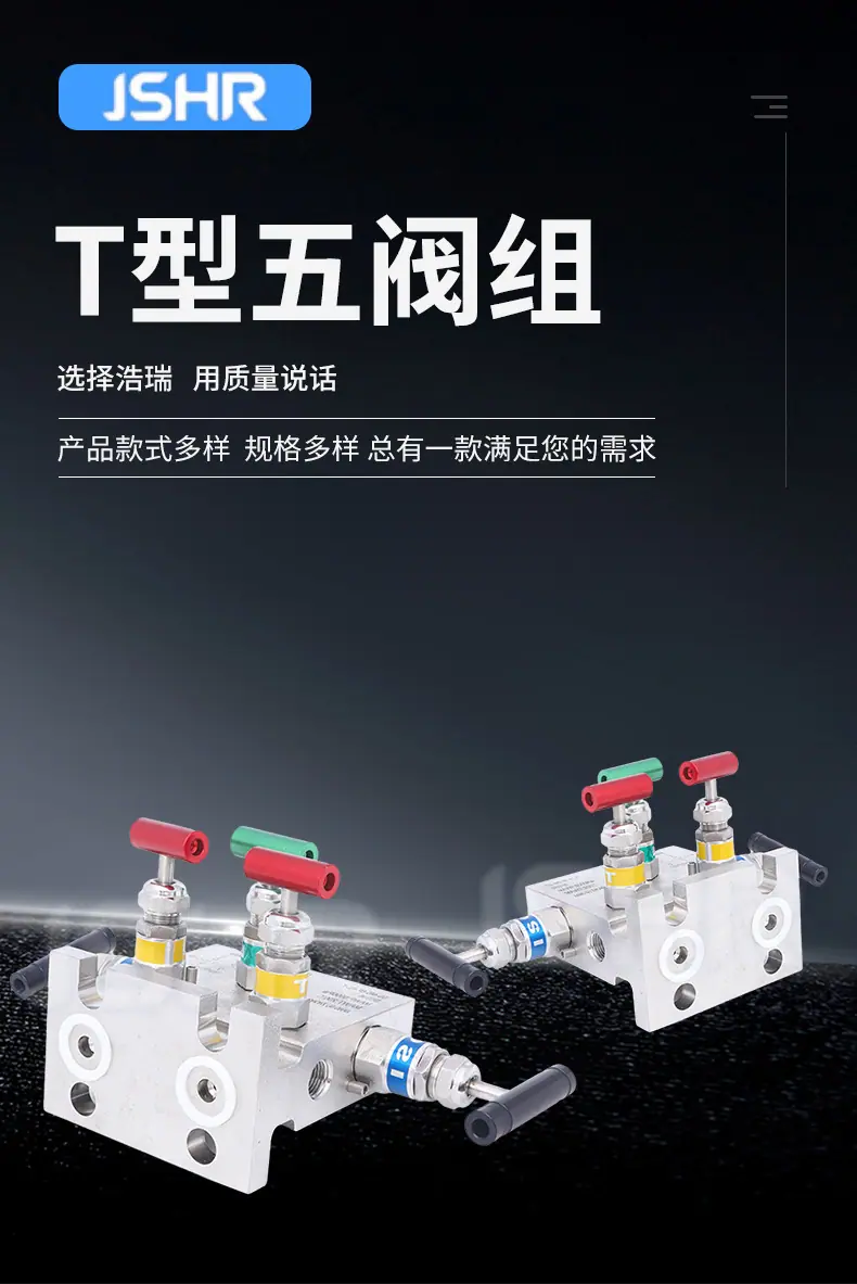 T型五阀组_01.jpg