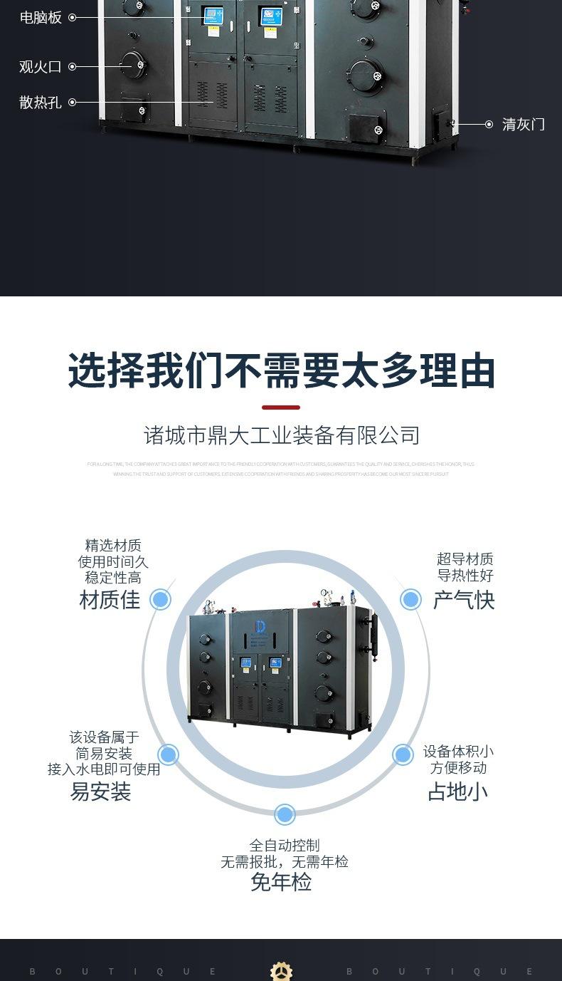 生物质蒸汽发生器(1)_004.jpg