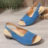 Sandalias de Mujer para Exportación, Tallas Grandes, Nuevo Estilo Primavera/Verano 2026, Europeas y Americanas, Punta Abierta, Playa, Tacón Grueso, con Tira, Tacón Alto, Sandalias de Mujer