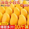 Manga Hainan Xiaotainong 4,5kg Manga Xiaotainong Fresca Fruta Tropical Sazonal Colhida Fresca Manga Sweetheart Fruta Grande Frete Grátis
