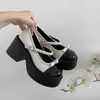 Zapatos Mary Jane Retro Franceses Pequeños de Cuero para Mujer 2026 Primavera Nuevo Estilo Suela Gruesa Tacón Grueso Con Falda JK Tacones Altos Zapatos de Salón