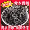 Especialidad Auténtica de Hongos Negros Secos del Noreste, Hongo de Otoño con Carne Espesa, Hongo Comestible Pequeño en Forma de Cuenco, Productos Agrícolas al por Mayor