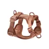 Producto Nuevo Popular Transfronterizo Capa Espacial Impermeable para Pecho y Espalda Perro Grande, Mediano y Pequeño Juego de Cuatro Piezas de PVC Anti-Mordeduras y Anti-Escape