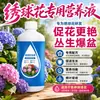 Solução Nutricional Especial para Hortênsias para Brotação e Enraizamento Fertilizante Fertilizante Especial para Hortênsias em Vasos Solução Líquida Fertilizante