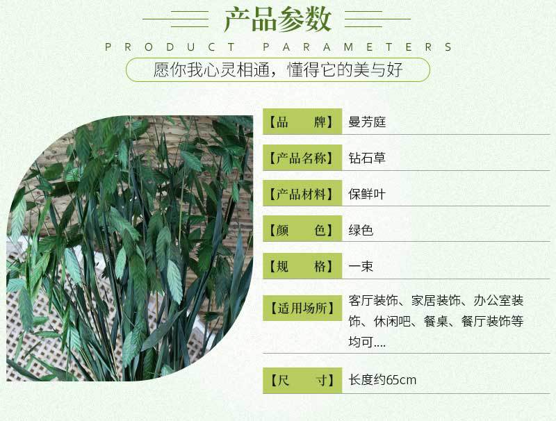 小盼花