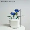 Maceta de Flores Esmaltada Zibo, Decoración con Flores Artificiales, Artesanía, Regalo del Día de la Madre, Flor Eterna, Decoración Creativa de Escritorio