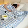 Manta Raschel de doble capa y grosor para otoño e invierno, adecuada para dormitorios, siestas de estudiantes, decoración de sofás y como manta cálida.