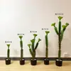 Cacto Cacto Em Vaso Plantas Verdes Falsas Tropicais Paisagismo de Deserto Plantas Verdes Falsas Enfeites Decorativos de Cacto