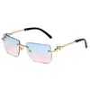 Nuevas Gafas de Sol de Metal de Moda Sin Marco con Borde Cortado y Decoración de Cabeza de Leopardo para Fotografía Callejera y Protección Solar