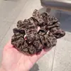 Scrunchie plissado com estampa de leopardo para mulheres, elástico de cabelo retrô coreano, alta elasticidade, adequado para rabos de cavalo baixos, acessório de cabelo