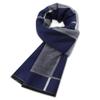 Bufanda de cachemir para hombre, cálida de invierno, a juego con todo, bufanda de cuadros, nuevo fabricante para hombre, en stock, entrega de una sola pieza