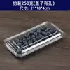 Caixa de Embalagem de Frutas Mirtilo 125g Caixa Retangular Transparente de Plástico Descartável Caixa de Amora Fruta Amora Framboesa