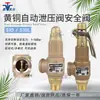 Válvula de Seguridad de Vapor a Baja Presión Ymer S10 Venta Directa de Fábrica Válvula de Alivio de Presión Tipo Resorte Válvula de Desbordamiento con Rosca de Cobre