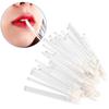 Palo Pincel de Labios Flocado Caiyun, Aspecto de Alta Gama, Cabeza Inclinada, Sin Olor, Compacto, Nuevo Pincel de Labios Ligero Hueco, Herramienta de Belleza
