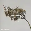 Flores Artificiales, Flores Secas Estilo Wabi-Sabi, Hojas Secas, Frutos de Pipa, Hortensias de Borde Tostado, Materiales Florales Vintage, Frutos de Espino Marítimo, Decoraciones de Mesa, Flores de Seda