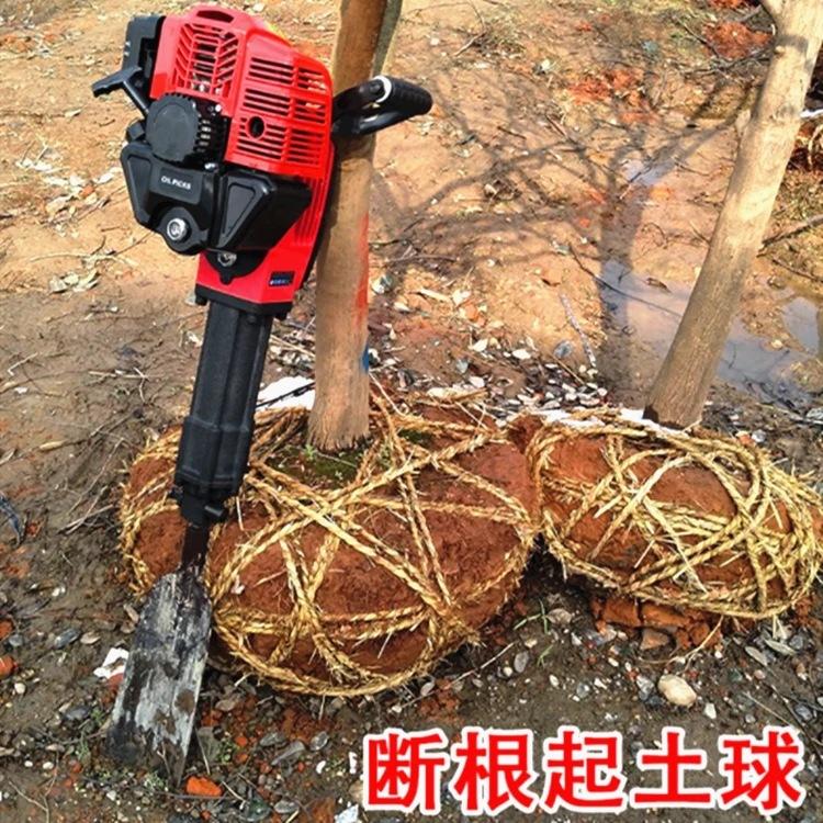 微信图片_20250106104608
