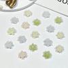 Novas Lantejoulas Luminosas Joias de Unha Flor de Lótus Lote Misto Flor Mini Simulação Acessórios de Resina Adesivo de Unha DIY