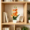 Orquídea Phalaenopsis artificial de 4 flores transfronteriza, bonsái cuadrado para interior, decoración creativa para el hogar, planta verde en maceta, adorno de flor artificial