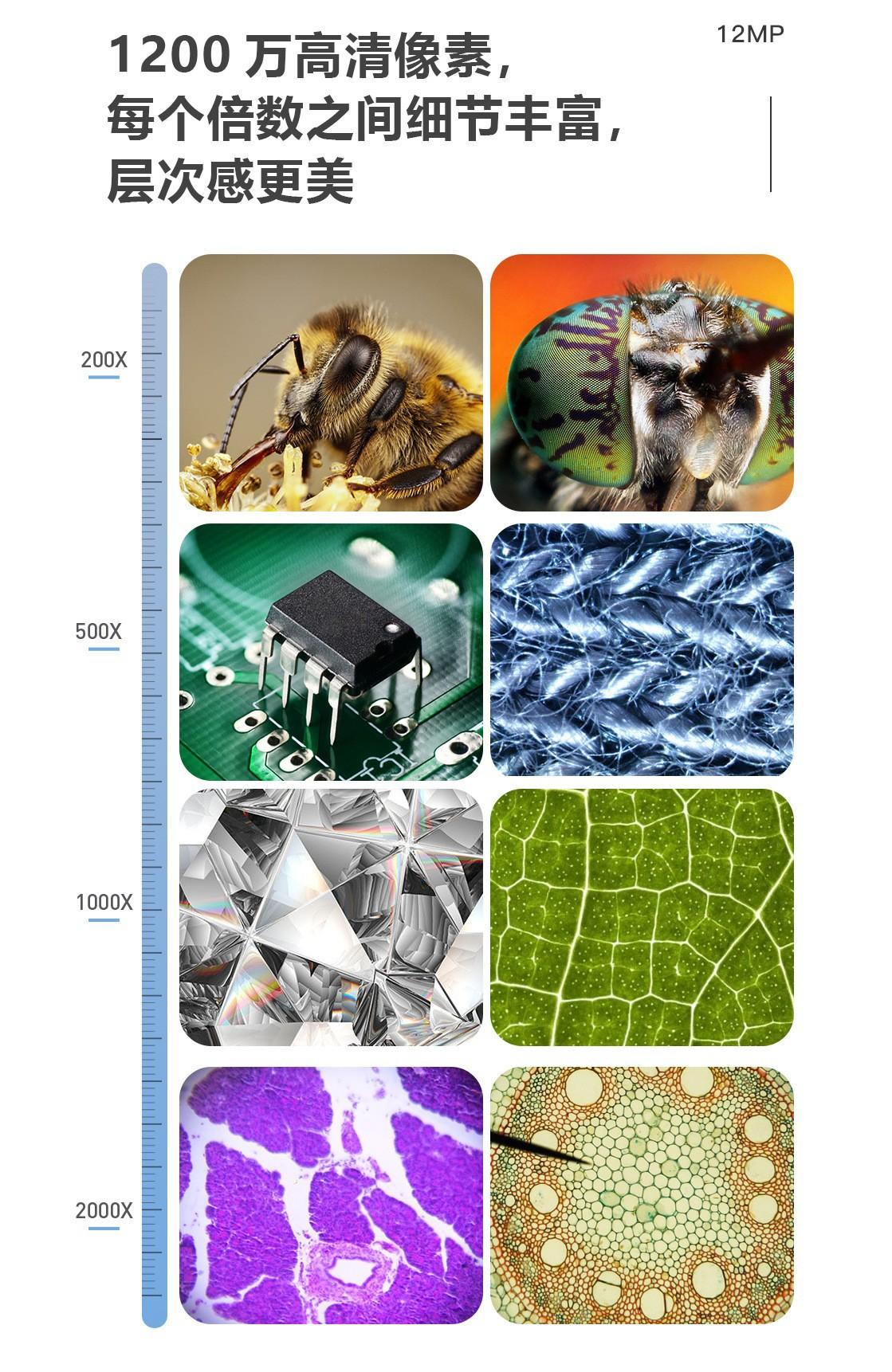 21323539721_1860339631