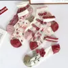 Calcetines Cortos de Algodón Transpirable Finos de Verano para Mujer, de Cintura Baja, Calcetines de Seda de Vidrio Color Piel, Calcetines Cortos Lindos