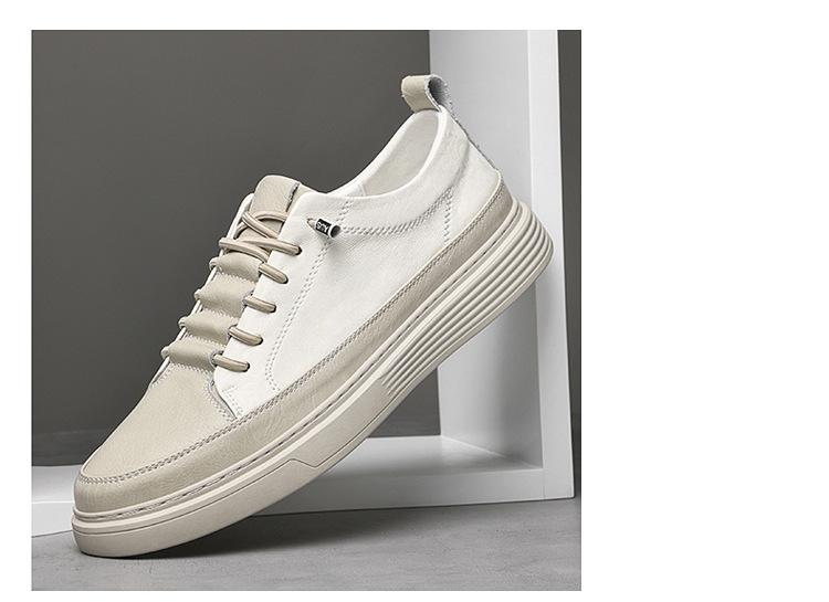 01-2_16.jpg?x-oss-process=image/format,png