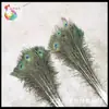 Suministro directo de fábrica de plumas de pavo real naturales 70-120 cm arreglo floral sala de estar sitio de servicio diseño de decoración 100 envío