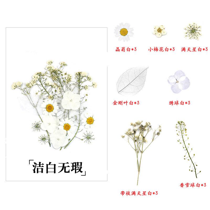 干花材料包详情11.jpg