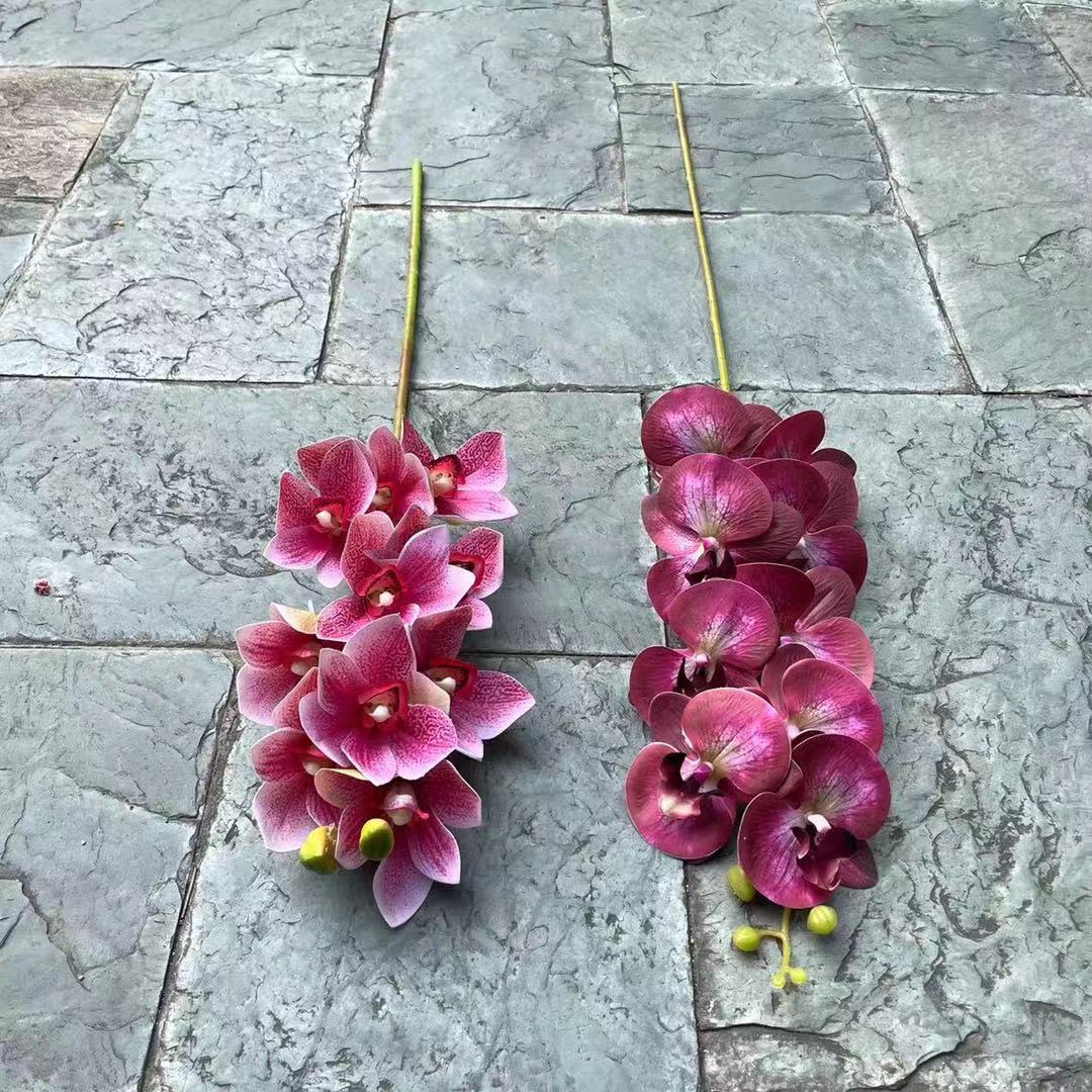 微信图片_20211118180605