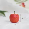 Chumfun Talla de Madera Pintada a Mano Manzana Pequeña Modelo de Fruta Artificial Adornos Decorativos Accesorios Manzana Verde Manzana Roja