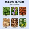 Parche Herbal para Calmar la Garganta para Niños y Adultos, Parche para la Garganta para Cambios de Estación, Garganta Seca y con Picazón, Tos, Voz Ronca y Parche Plano para la Garganta al por Mayor