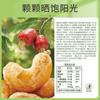 Anacardos a base de hierbas, frutos secos originales, 100 g/50 g, caja de 60 bolsas, aperitivos, frutos secos, anacardos quemados con carbón vegetal.