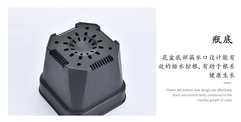 详情图片_07.jpg