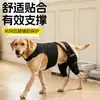 Equipo de Protección para Perros Protectores de Patas Protectores Articulares Arnés de Pecho Marco de Soporte para Lesión de Luxación de Rodilla Canina