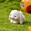 Paraíso de Conejos Adornos de Micropaisaje Lindos Animales de Dibujos Animados Zanahoria Casa de Conejos Jardinería Accesorios de Resina Artesanías