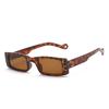 Nuevas Gafas de Sol Retro Personalizadas de Marco Pequeño de Rain para Hombres y Mujeres, Gafas de Sol de Moda, Gafas de Sol Modernas Europeas y Americanas