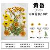 Flores secas y especímenes de plantas de flores marco de fotos repujado a mano marcapáginas lámpara de escritorio pegamento nail art suministro transfronterizo venta al por mayor 18 piezas