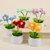 Productos terminados transfronterizos: Flores de hilo tejidas a crochet, plantas pequeñas en maceta, flores artificiales hechas a mano, adornos decorativos de escritorio al por mayor