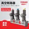 Interruptor de Vacío Inteligente de Alto Voltaje para Exteriores 10KV ZW32-12F/630-20 Columna Perro de Guardia con Interruptor de Límite