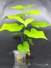 Suporte Hidropônico Aquário Abrigo Peixe Planta Peixe e Vegetal Simbiose Fruta e Vegetal Planta Aquática Suprimentos para Aquário Cultivo