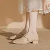 Zapatos Mary Jane Qipao Francés de Piel Suave para Mujer 2026 Otoño Nuevo Estilo Punta Cuadrada Tacón Grueso Nuevo Estilo Hada China Zapatos de Noche para Mujer