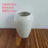 Maceta Pequeña, Planta Suculenta Verde, Ciprés de Bambú, Cerámica Esmaltada Agrietada por Hielo Hecha en Horno Maceta para Mesa Interior y Exterior con Agujeros Adornos de Cerámica