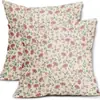Amazon Nova Fronha Floral de Primavera Capa de Almofada de Planta Decoração de Sala de Estar em Casa Fronha de Almofada de Sofá