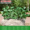 Simulação Cerca Cerca retrátil Flores Falsas Folhas Verdes Pátio ao ar livre Cerca Cerca Cerca Decorativo Folhas Sombra Plantas