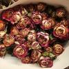 Rosa de flor seca de Yunnan rosa de cabeza múltiple rosa burbuja ramo de flor seca muebles de sala de estar accesorios de fotografía multicolor flores reales al por mayor