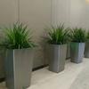 Maceta Cuadrada de Columna Alta Estilo Nórdico de Plástico Pintado Extra Grande Maceta Simple de Lujo Ligero para Piso de Interior Autoabsorbente