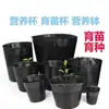 Taza para plántulas nutritivas, cuenco pequeño de plástico, maceta desechable para flores, bolsa negra nutritiva para plantar, bolsa para plántulas, maceta para plántulas, maceta nutritiva