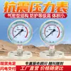 Manómetro Antisismo YB-100MF con Indicación Estable Estructura Hermética Manómetro Antisismo Manómetro Antisismo