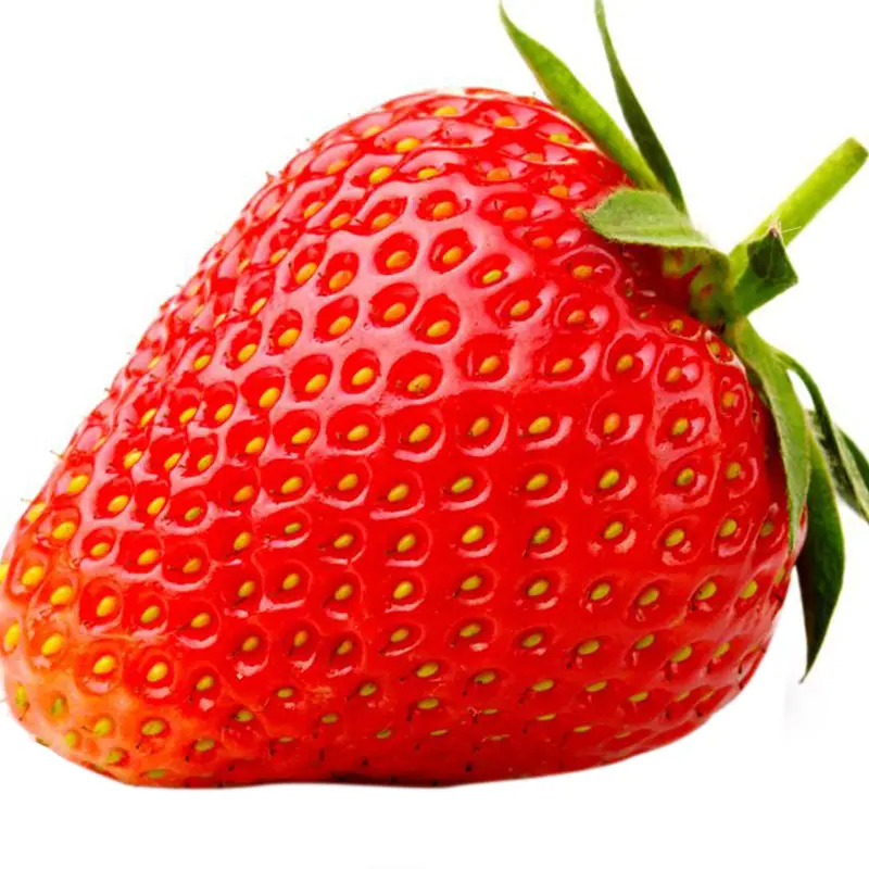 O1CN01jkiyIR2ByuiSJ30ZX_!!3781